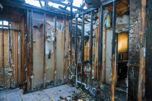 Professional Smoke Damage Removal technician working in Mont Clare, PA
